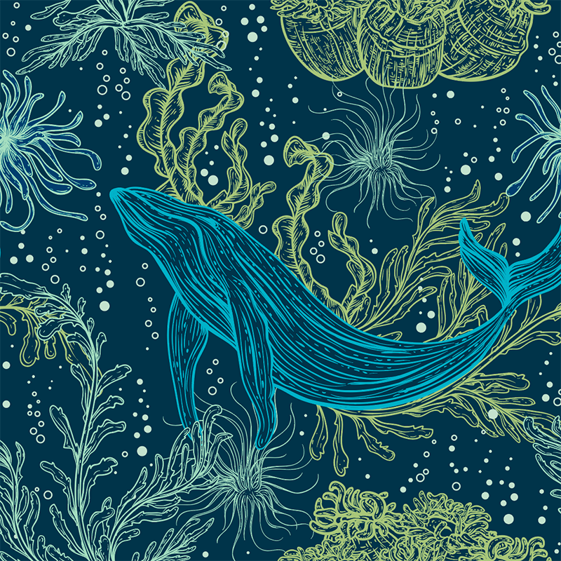 20oz-tkwide-with-twist-cap-ocean-day-c3 20oz_tkwide_bottle_seasonal_ocean_day_blue_whale_artwork_square.png