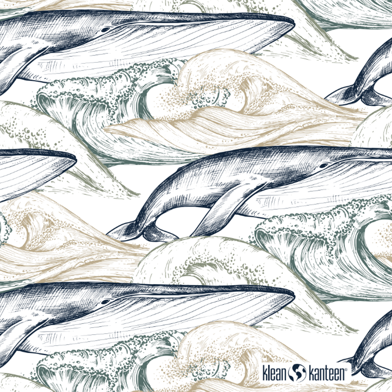 20oz-tkwide-with-twist-cap-ocean-day-c3 20oz_tkwide_bottle_seasonal_ocean_day_whale_artwork_square.png