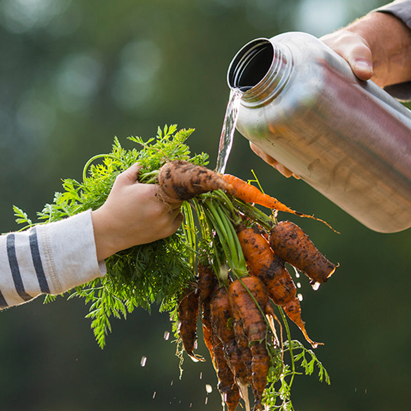 64oz-wide-with-loop-cap-s4 64oz_wide_mouth_bottle_carrots_rinse_square.jpg